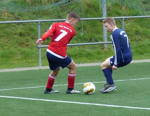 B-Jugend vs. VfL Halle 18.04.2016