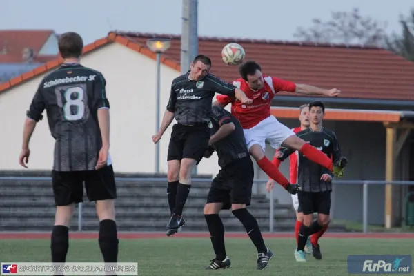 Verbandsliga Schönebecker SC vs. IMO Merseburg