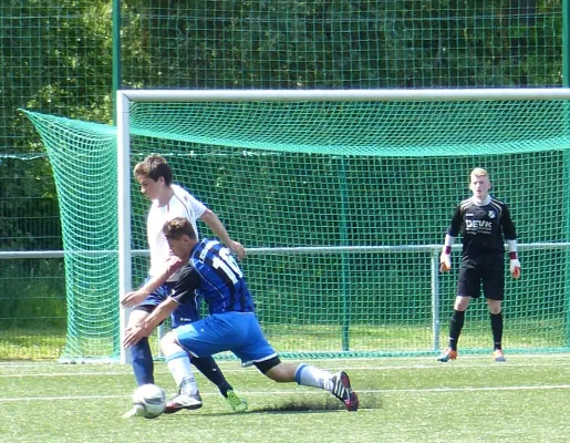 A-Jugend vs. Bitterfeld Wolfen 22.05.2016