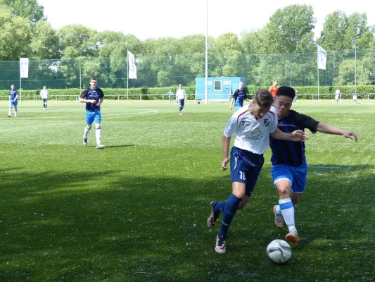 A-Jugend vs. Bitterfeld Wolfen 22.05.2016