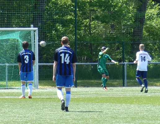 A-Jugend vs. Bitterfeld Wolfen 22.05.2016