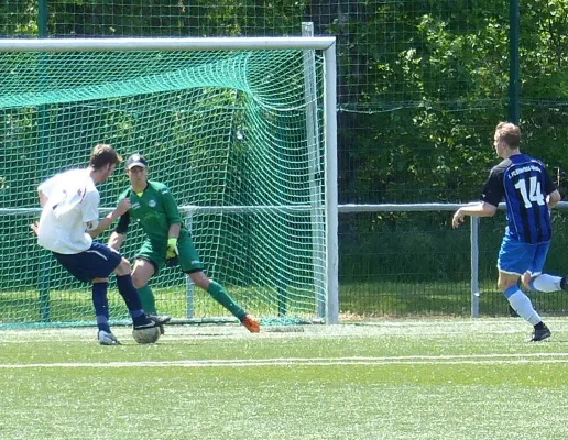 A-Jugend vs. Bitterfeld Wolfen 22.05.2016