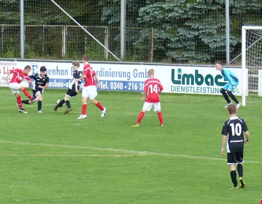 B-Jugend in Dessau 15.07.2016