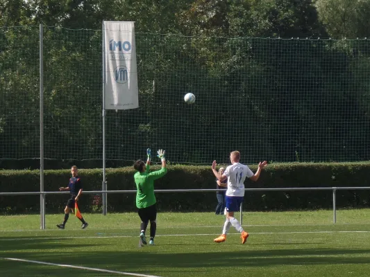 13.08.2016 VfB IMO Merseburg vs. VfB 06 Sangerhausen