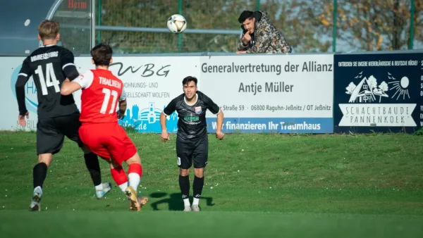 03.11.2024 SG Rot-Weiß Thalheim vs. VfB Merseburg