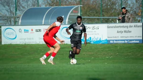 03.11.2024 SG Rot-Weiß Thalheim vs. VfB Merseburg