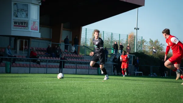 03.11.2024 SG Rot-Weiß Thalheim vs. VfB Merseburg