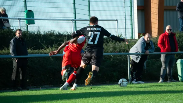 03.11.2024 SG Rot-Weiß Thalheim vs. VfB Merseburg