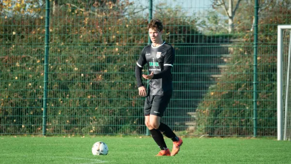 03.11.2024 SG Rot-Weiß Thalheim vs. VfB Merseburg