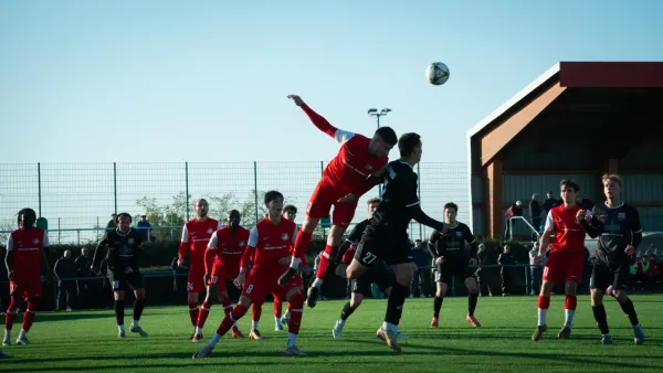 03.11.2024 SG Rot-Weiß Thalheim vs. VfB Merseburg