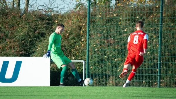 03.11.2024 SG Rot-Weiß Thalheim vs. VfB Merseburg