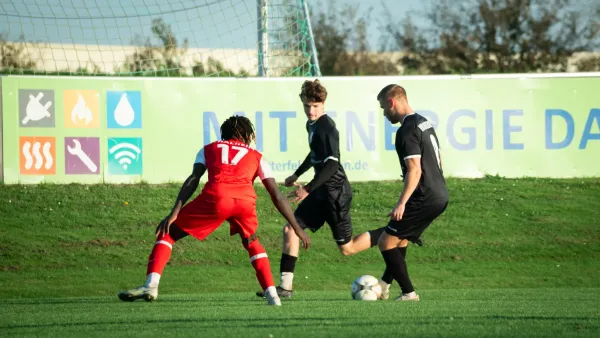 03.11.2024 SG Rot-Weiß Thalheim vs. VfB Merseburg